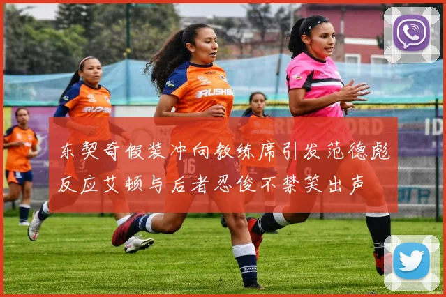 东契奇假装冲向教练席引发范德彪反应艾顿与后者忍俊不禁笑出声