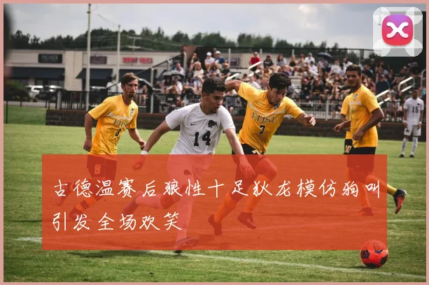 古德温赛后狼性十足狄龙模仿狗叫引发全场欢笑